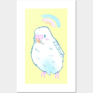 Sweet White Budgie Posters and Art